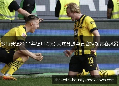 多特蒙德2011年德甲夺冠 人球分过与直塞撑起青春风暴